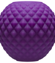 CNVELD-DJ1471-18_2.png